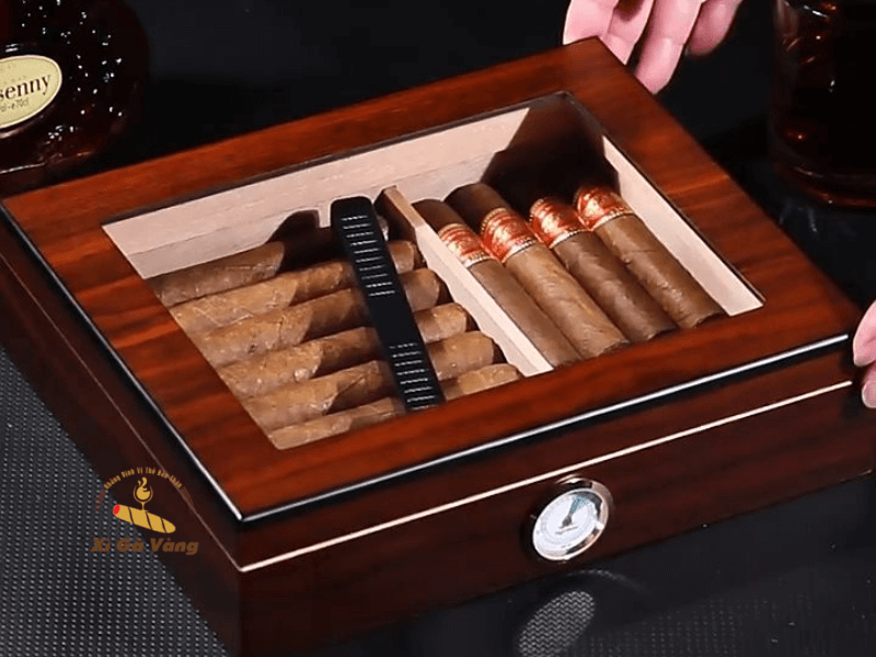 Hộp bảo quản xì gà chuyên dụng